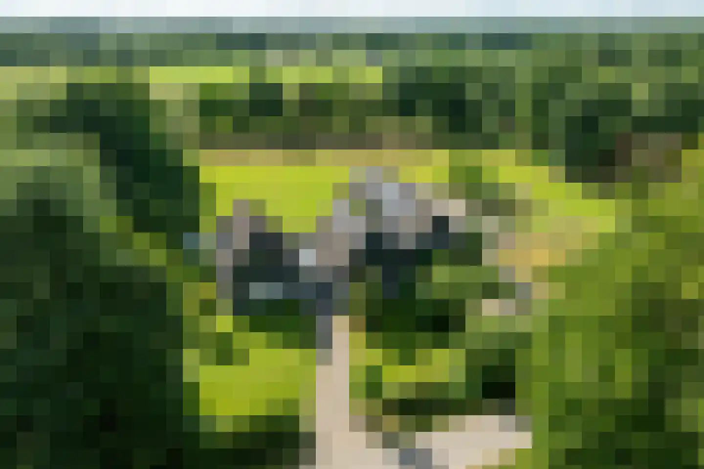 Rietberglaan 8 Epe thumbnail 6