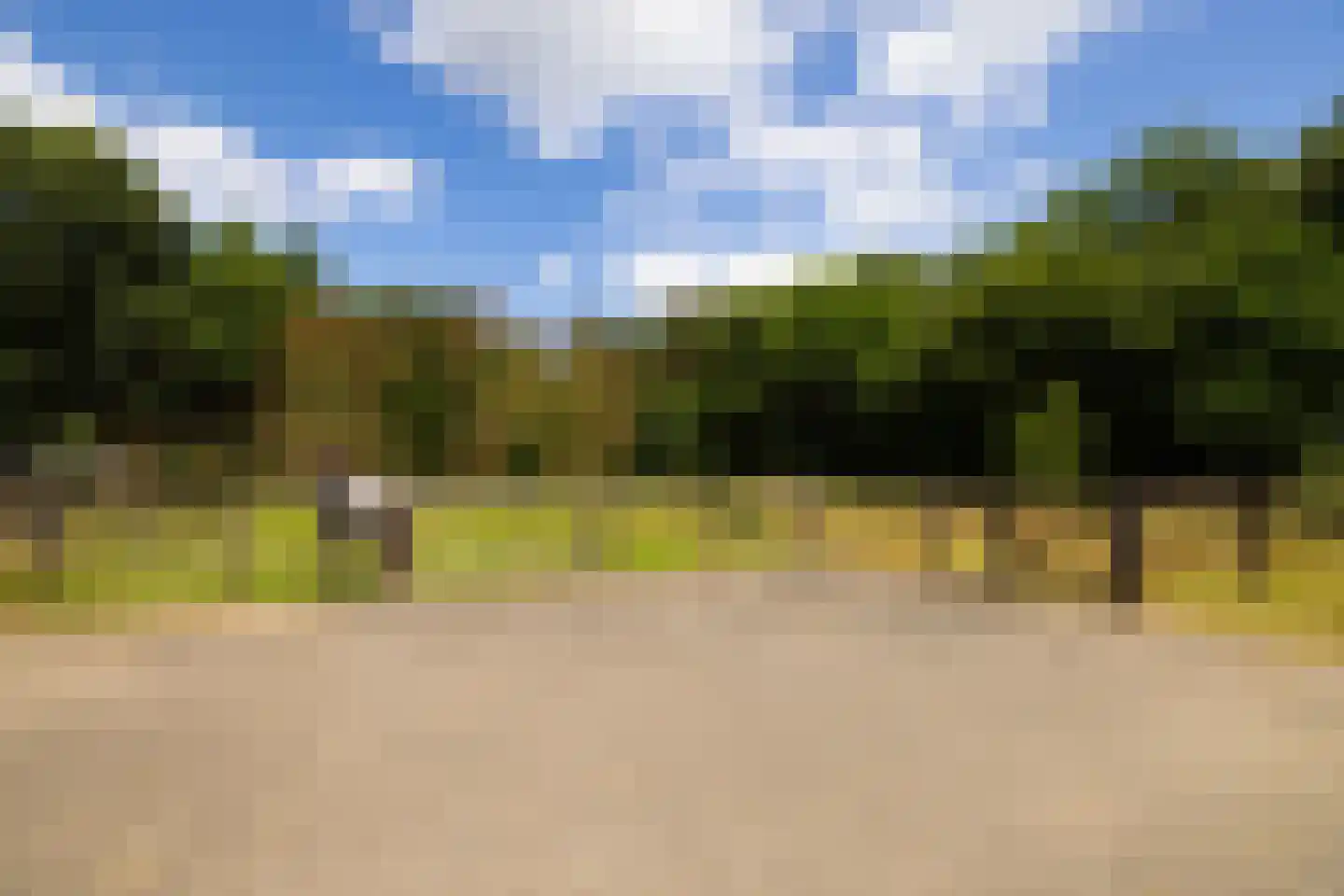 Rietberglaan 8 Epe thumbnail 60