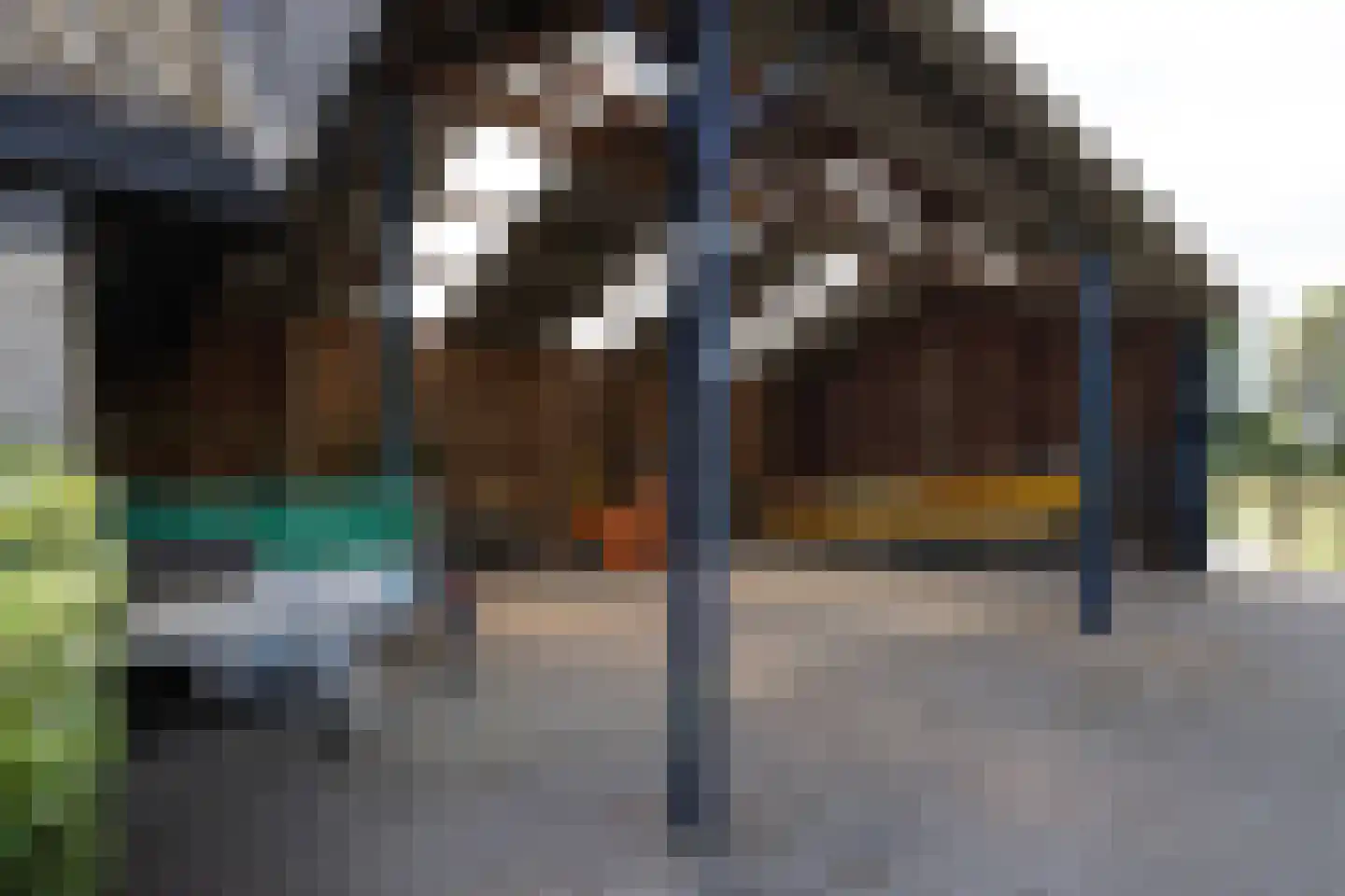 Rietberglaan 8 Epe thumbnail 61