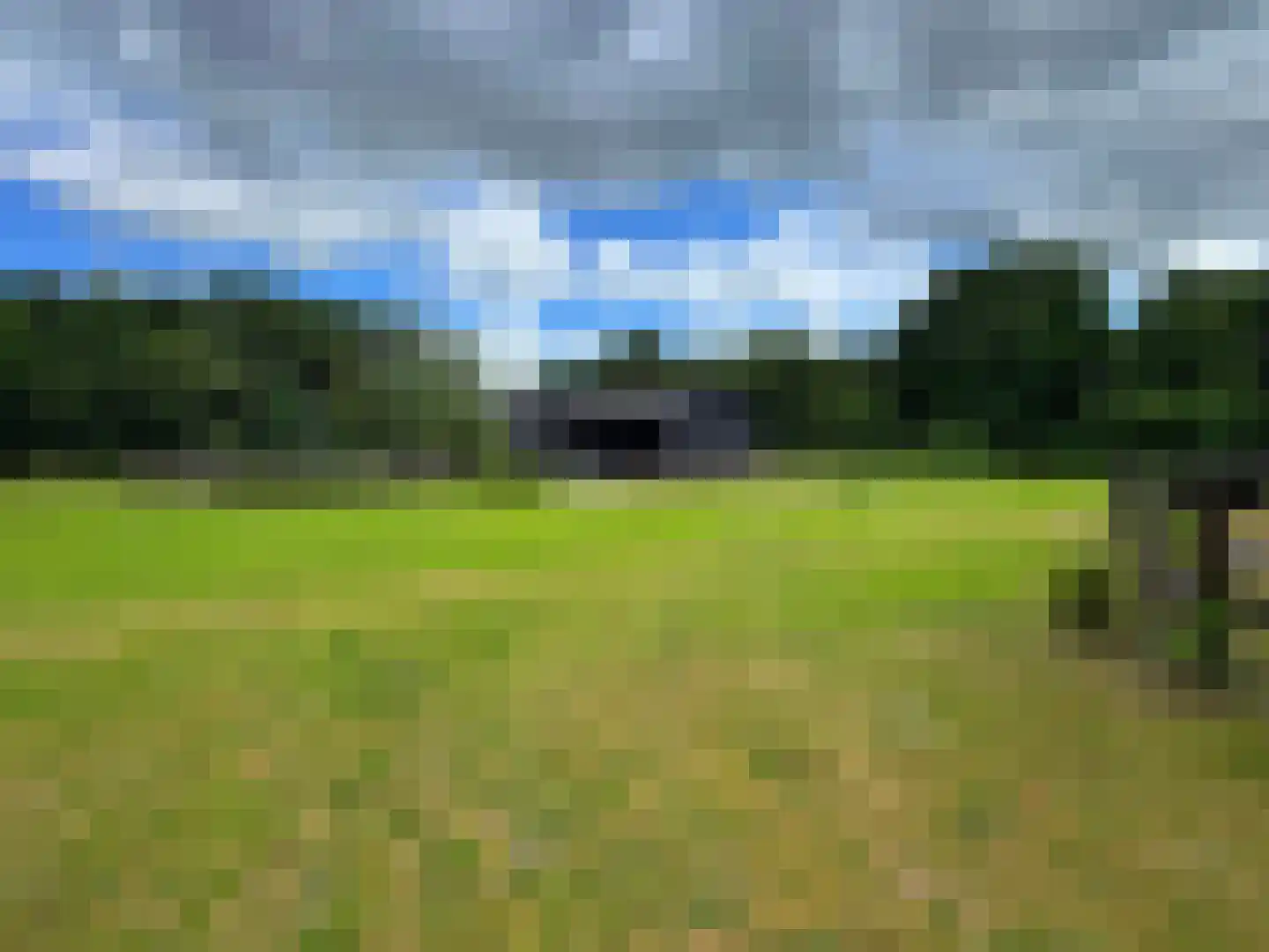 Rietberglaan 8 Epe thumbnail 63