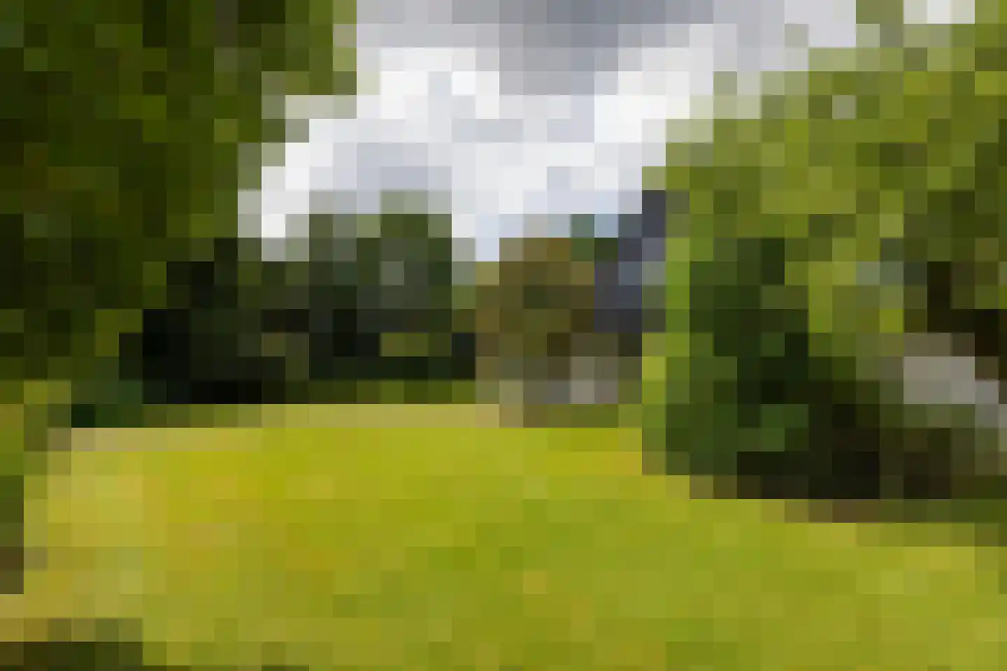 Rietberglaan 8 Epe thumbnail 64