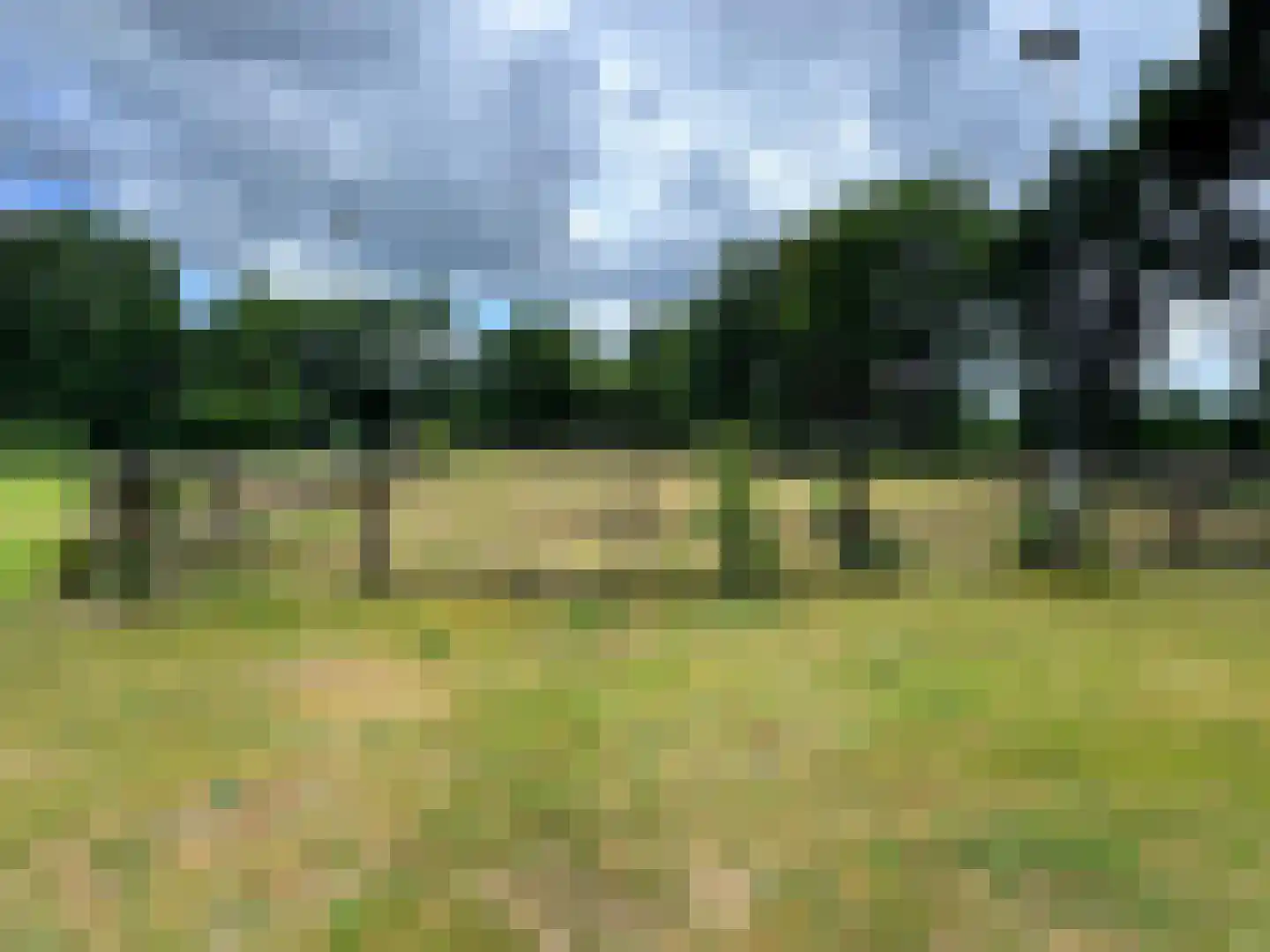 Rietberglaan 8 Epe thumbnail 65