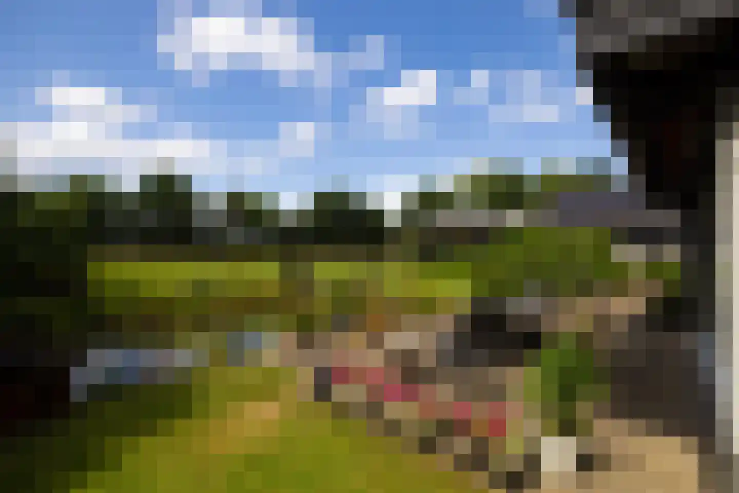 Rietberglaan 8 Epe thumbnail 67