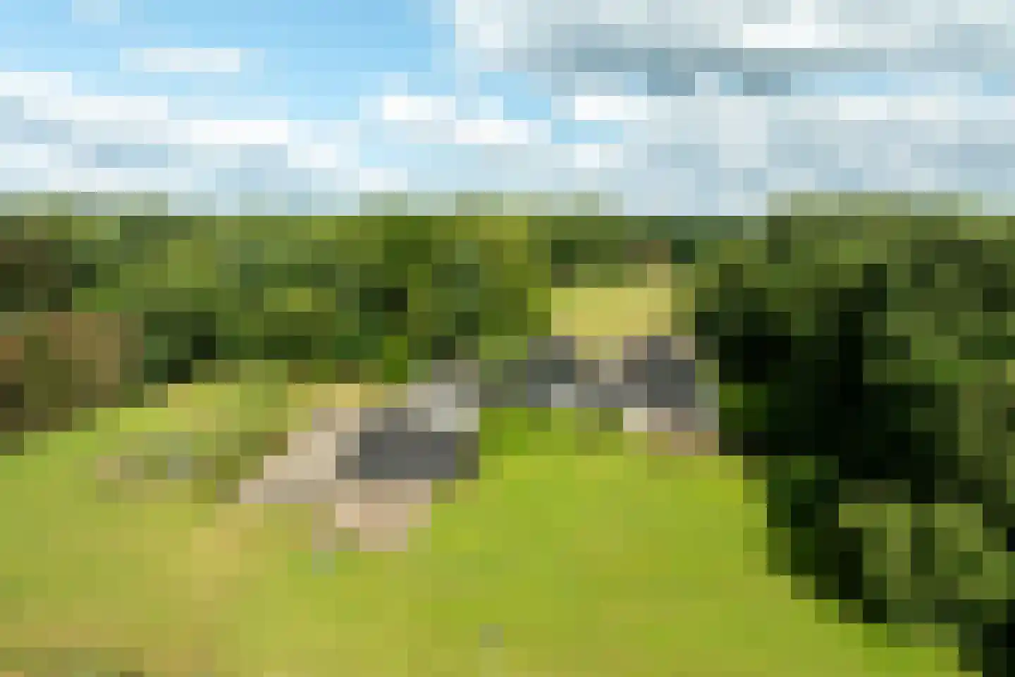 Rietberglaan 8 Epe thumbnail 69