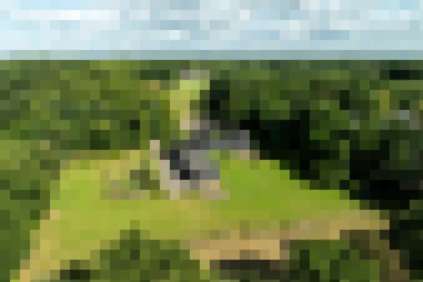 Rietberglaan 8 Epe thumbnail 71