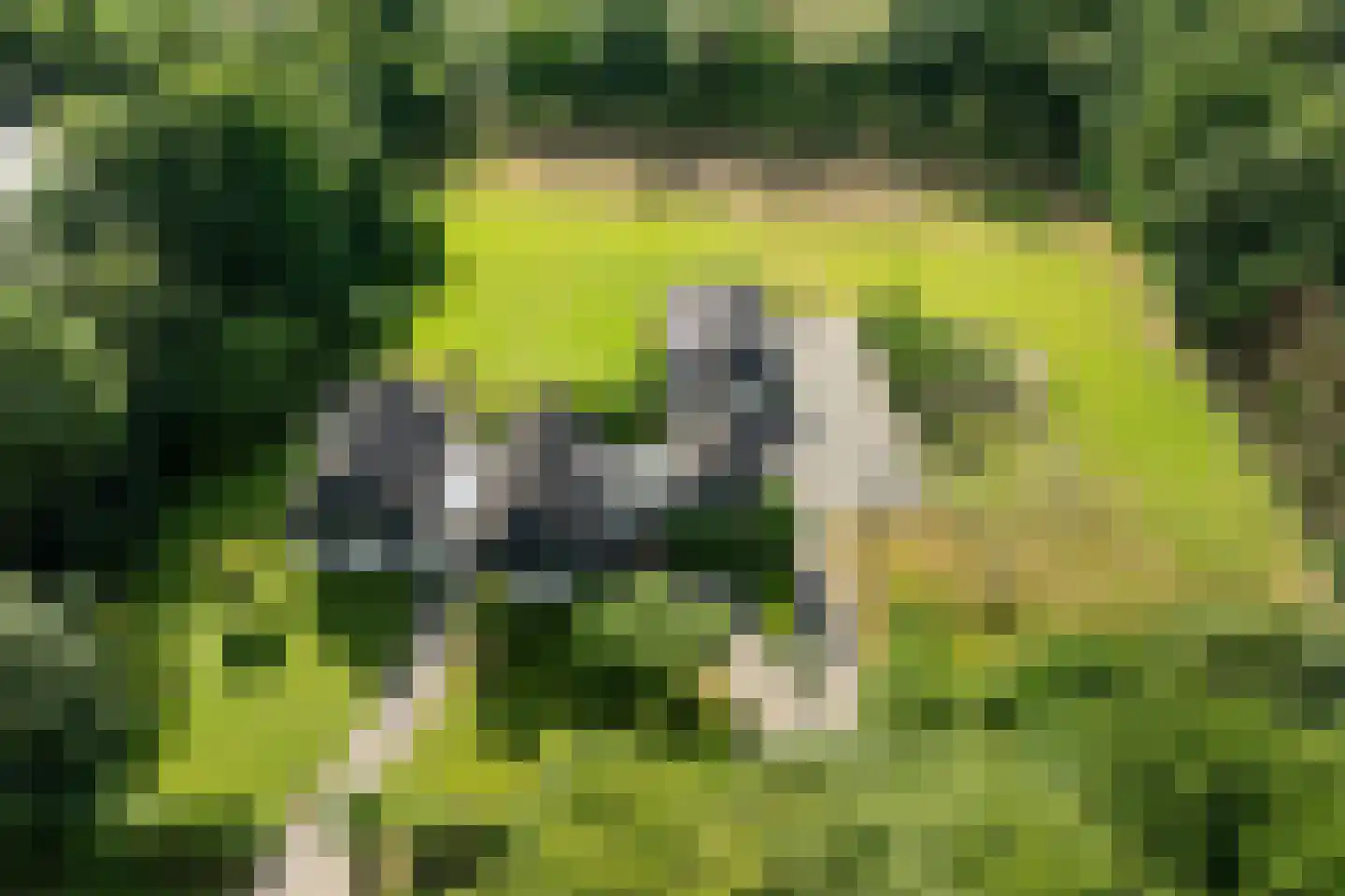 Rietberglaan 8 Epe thumbnail 72