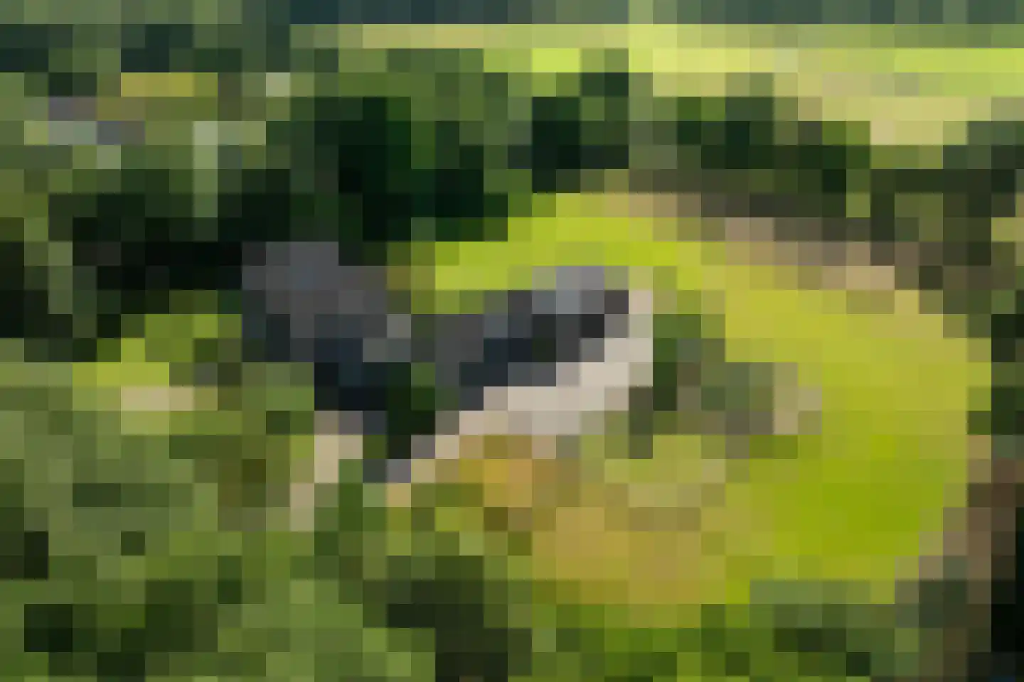 Rietberglaan 8 Epe thumbnail 73