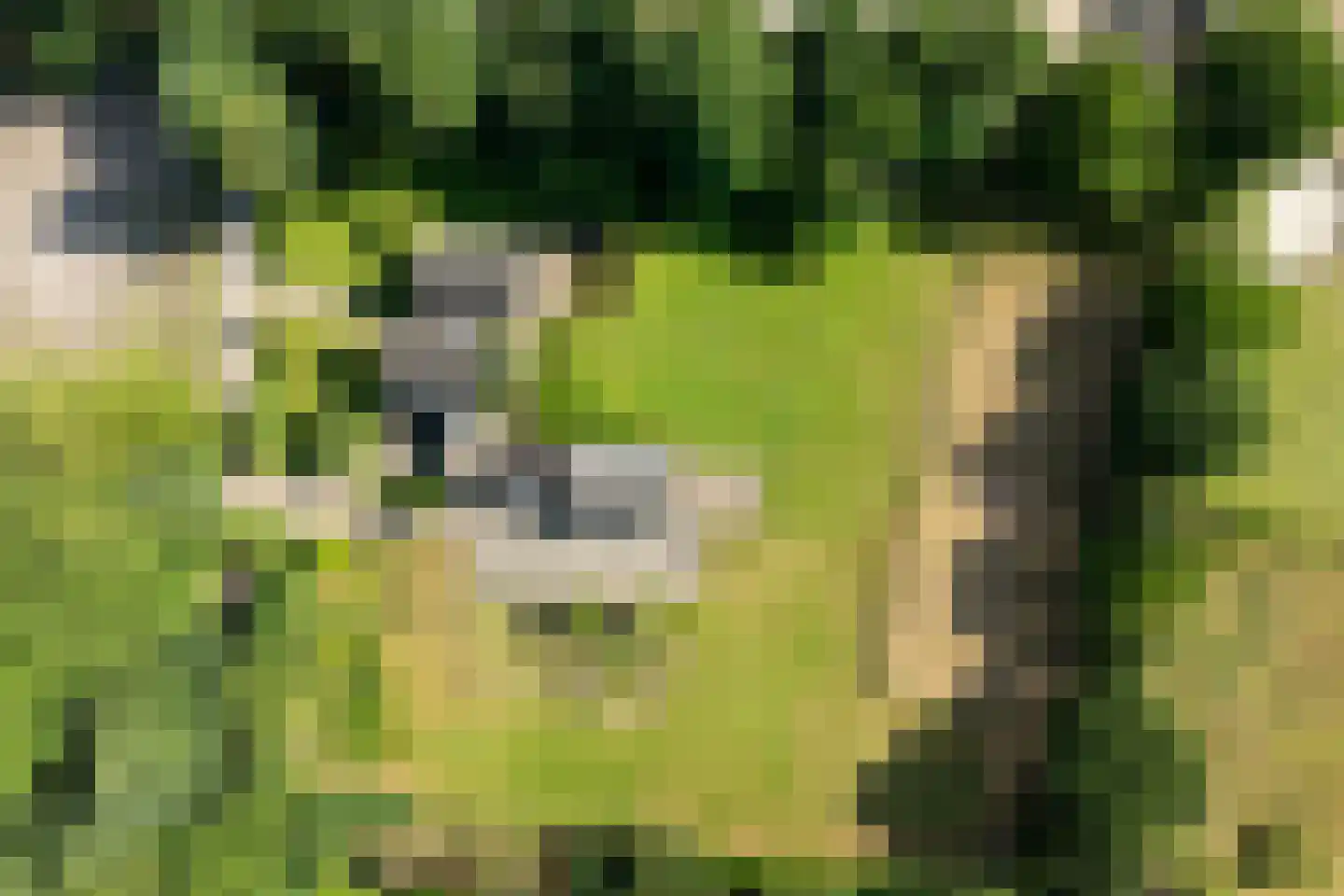 Rietberglaan 8 Epe thumbnail 74