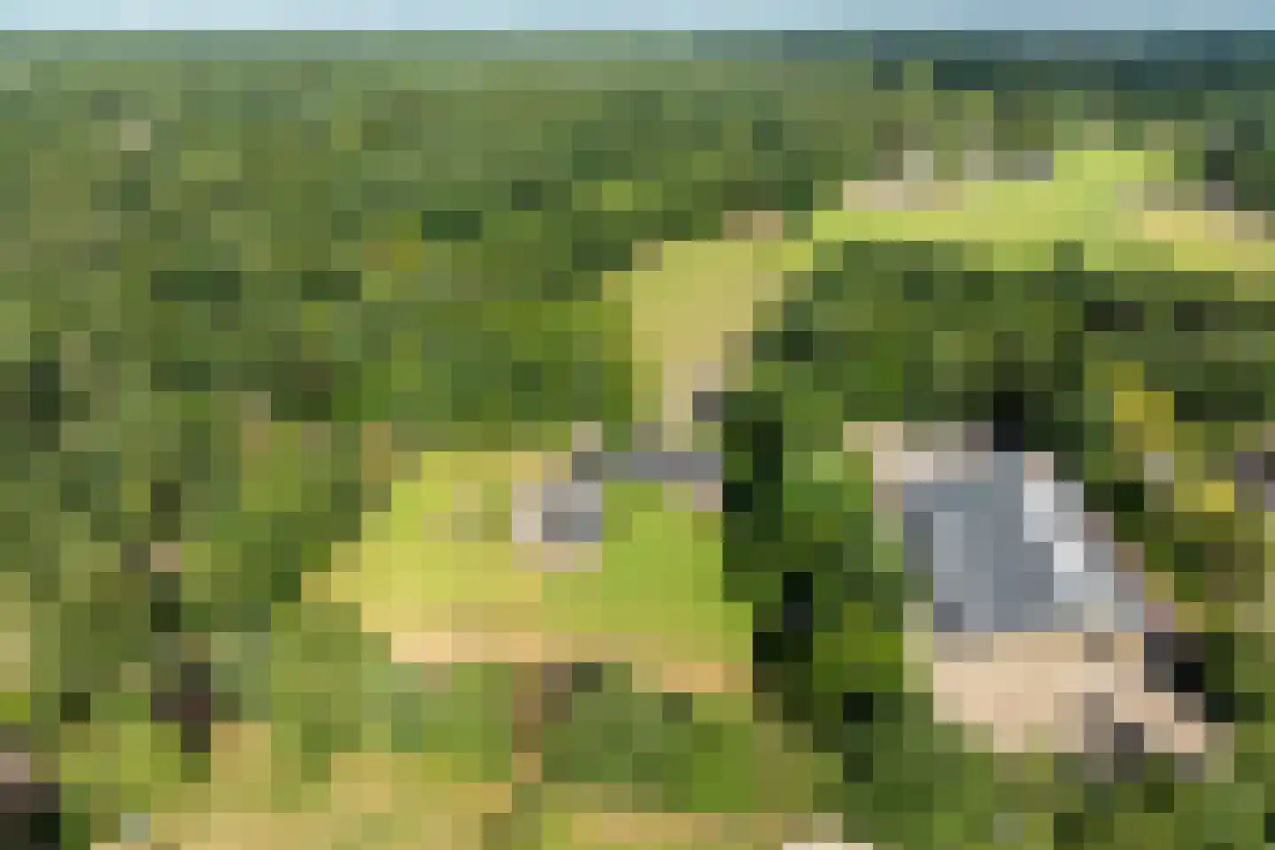 Rietberglaan 8 Epe thumbnail 75