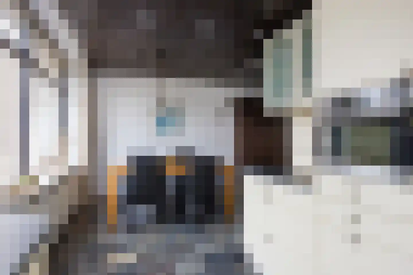 Rietbergstraat 23 Zutphen thumbnail 15
