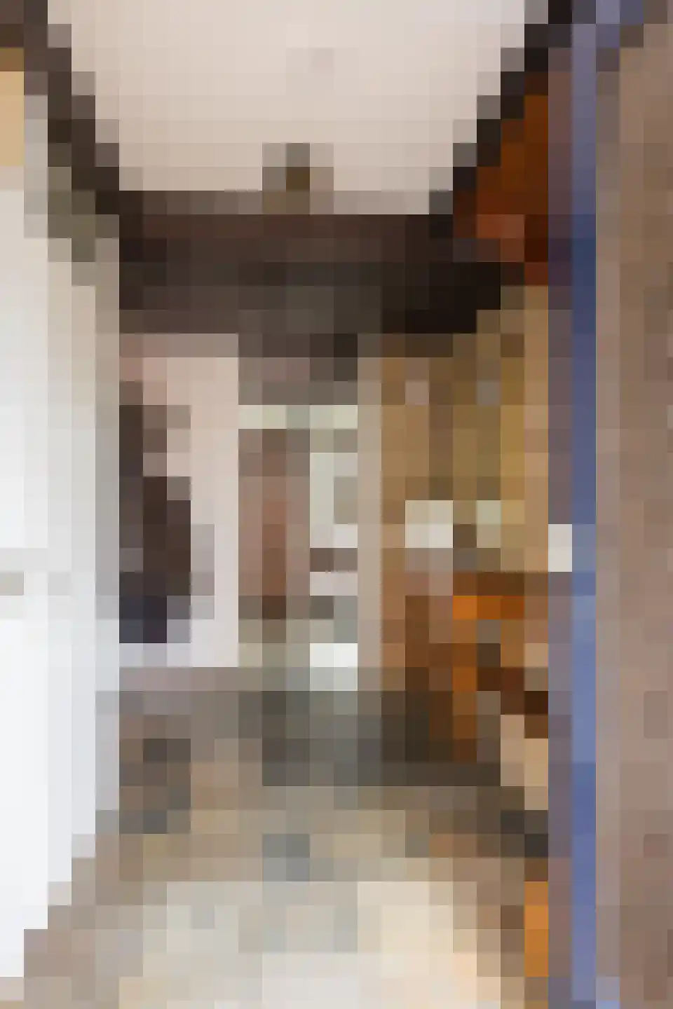 Rietbergstraat 23 Zutphen thumbnail 4