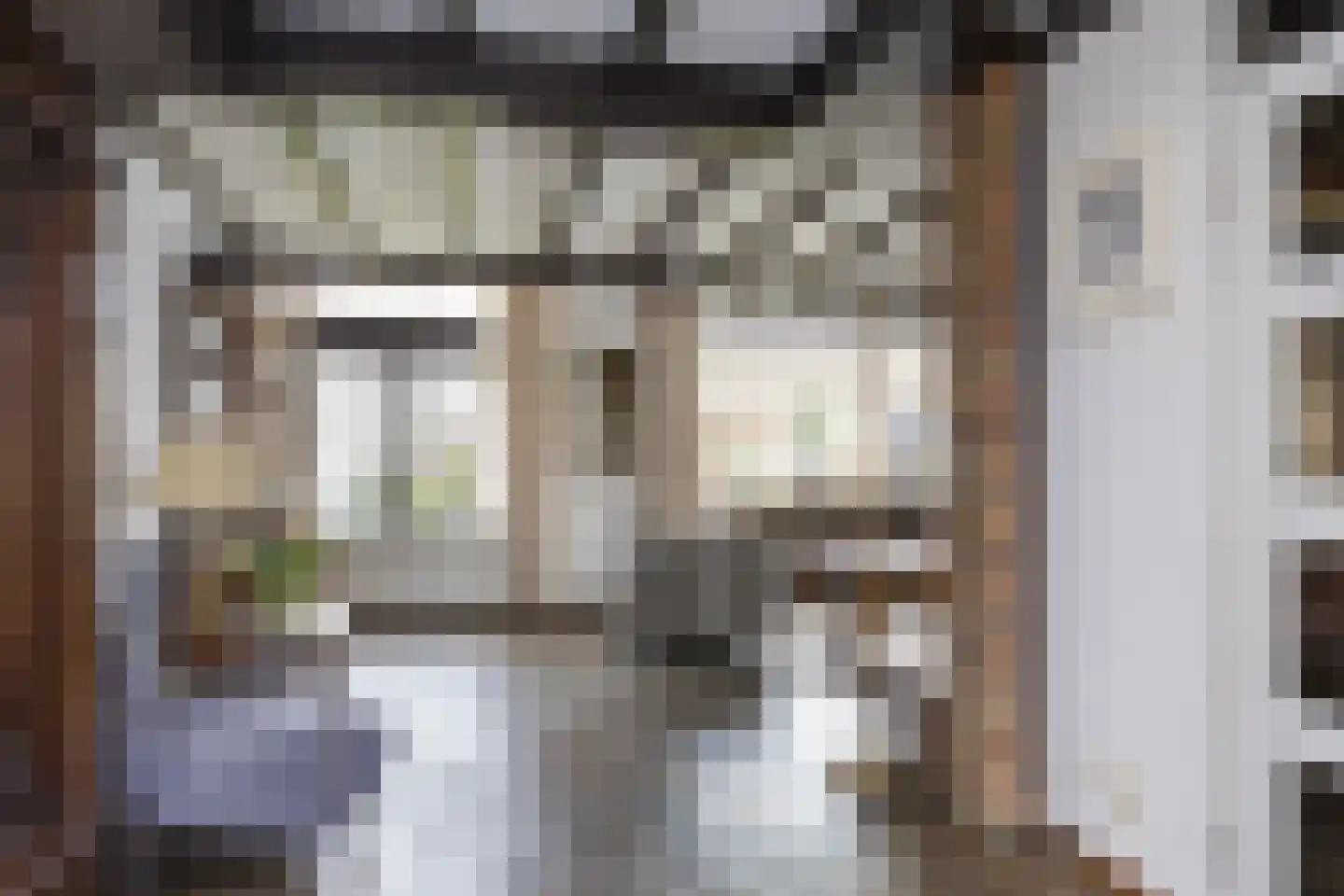 Rietbergstraat 23 Zutphen thumbnail 6