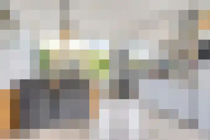 Rietbergstraat 28 Zutphen thumbnail 6