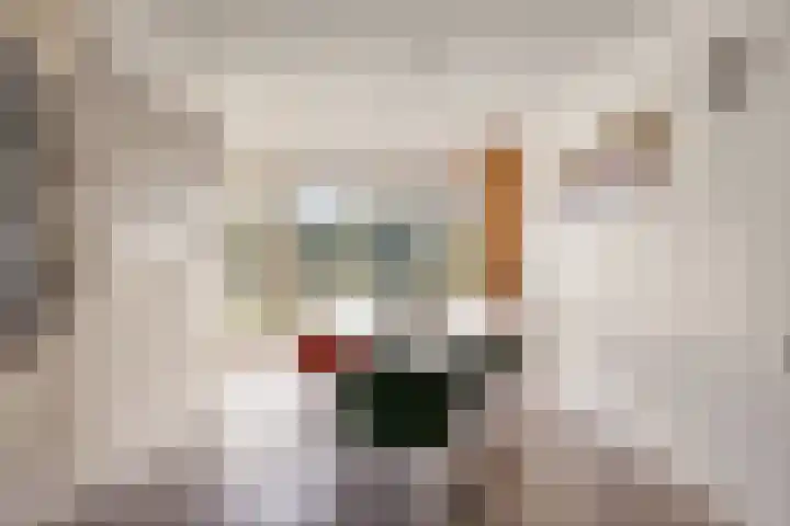 Rietbergstraat 39 Zutphen thumbnail 6