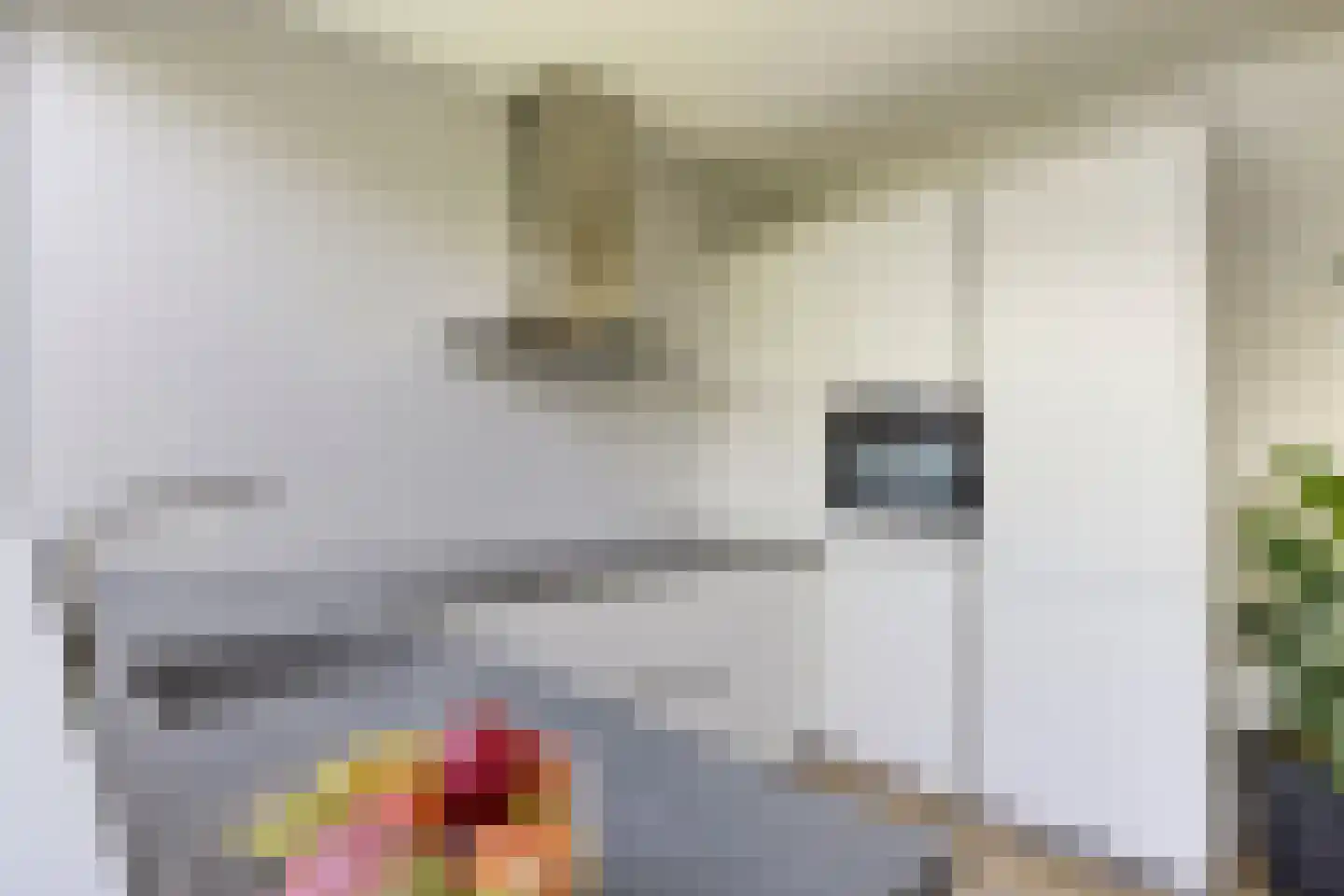 Rietbergstraat 4 Zutphen thumbnail 17