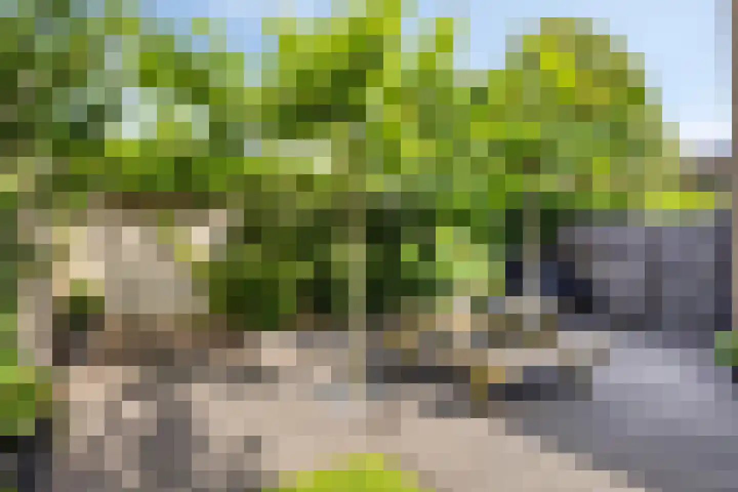 Rietbergstraat 4 Zutphen thumbnail 21