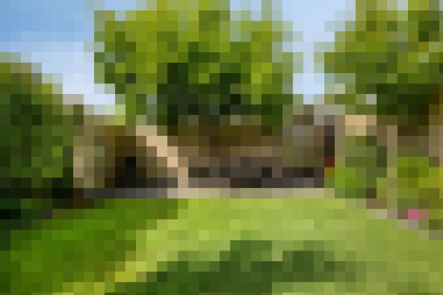 Rietbergstraat 4 Zutphen thumbnail 41
