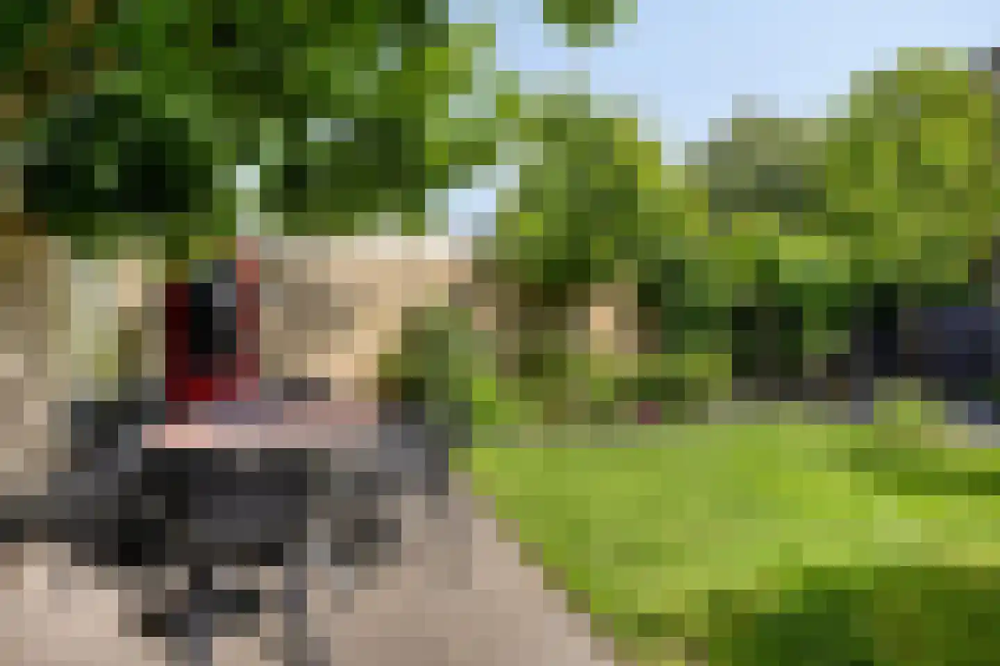 Rietbergstraat 4 Zutphen thumbnail 43