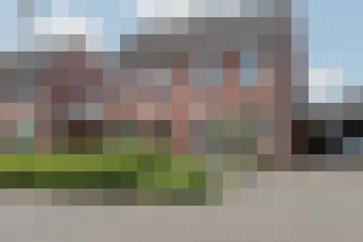 Rietbos 38 en Horst