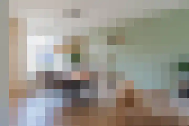 Rietbos 38 Horst thumbnail 11