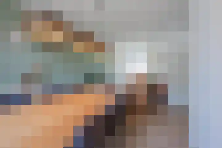 Rietbos 38 Horst thumbnail 13