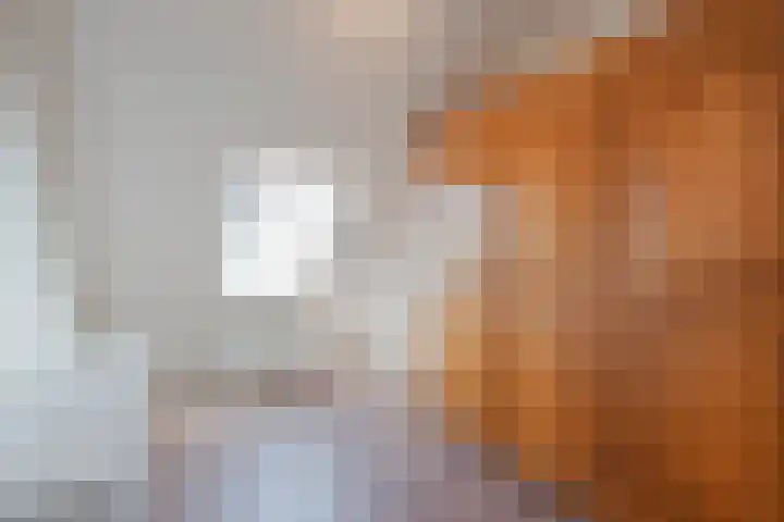 Rietbos 38 Horst thumbnail 22