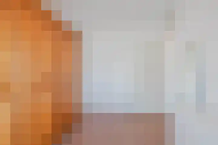 Rietbos 38 Horst thumbnail 23