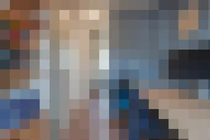 Rietbos 38 Horst thumbnail 25