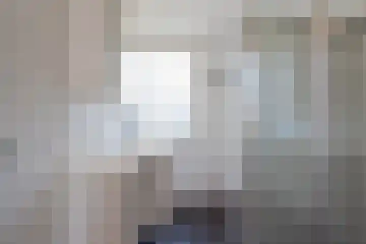Rietbos 38 Horst thumbnail 27