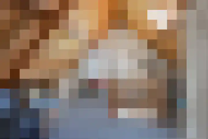 Rietbos 38 Horst thumbnail 28