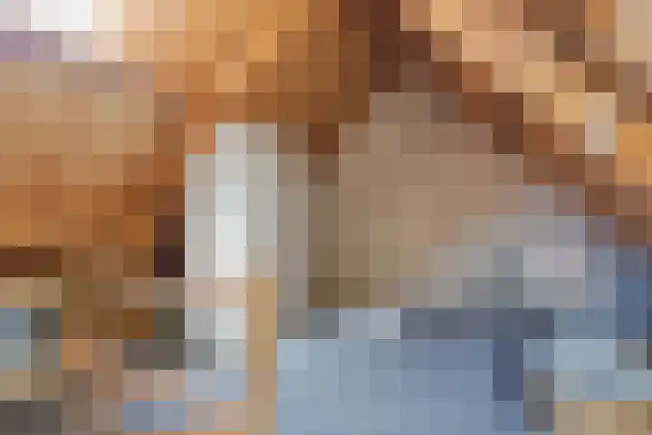 Rietbos 38 Horst thumbnail 29
