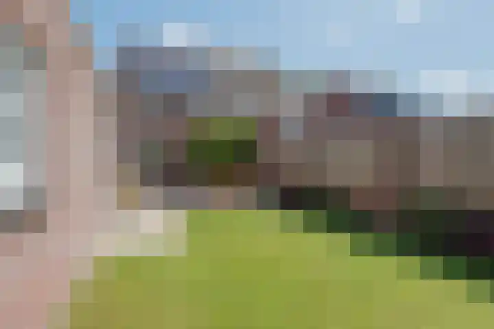 Rietbos 38 Horst thumbnail 30