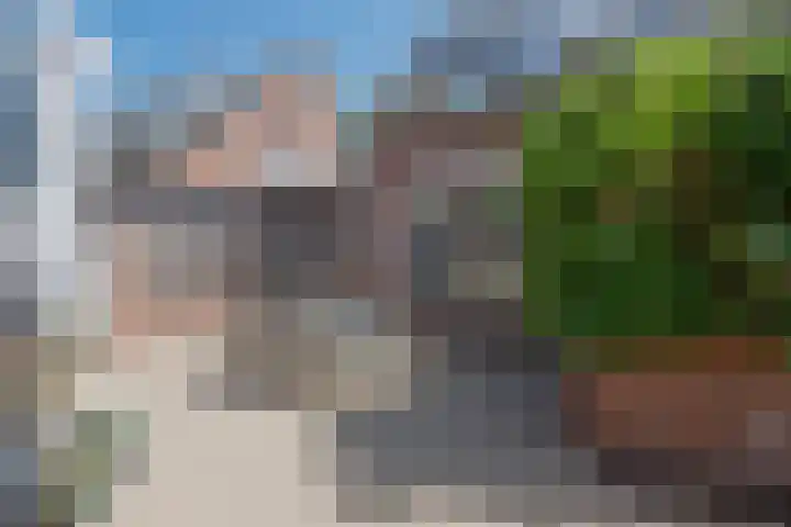 Rietbos 38 Horst thumbnail 31
