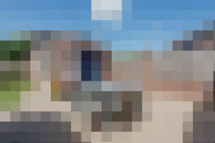 Rietbos 38 Horst thumbnail 32
