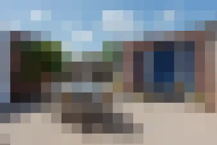 Rietbos 38 Horst thumbnail 33