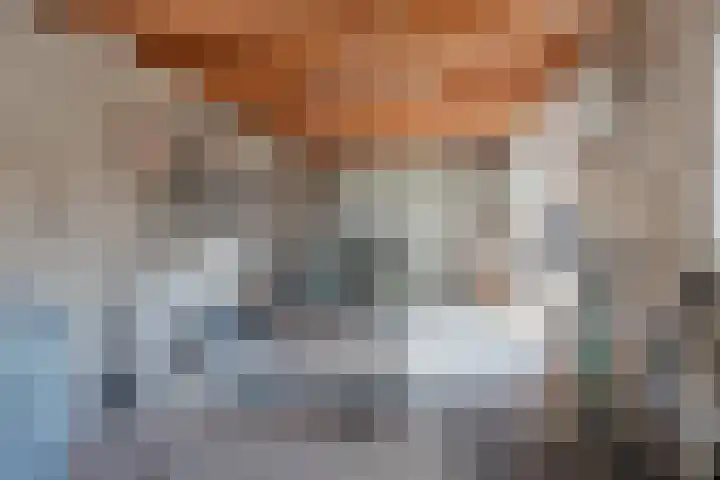 Rietbos 38 Horst thumbnail 35