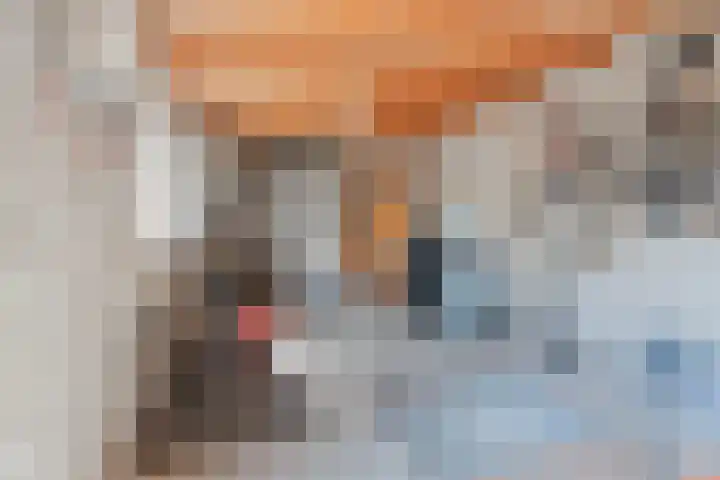 Rietbos 38 Horst thumbnail 36