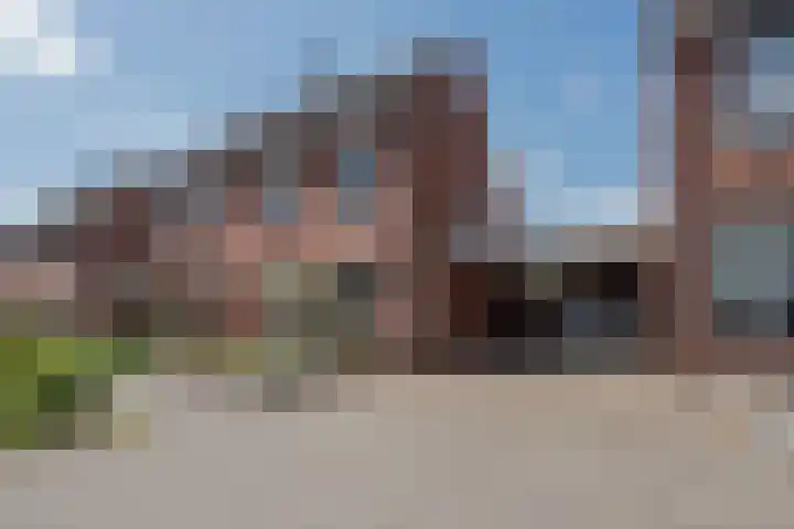 Rietbos 38 Horst thumbnail 37