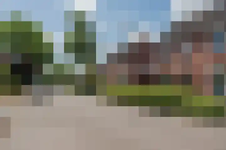 Rietbos 38 Horst thumbnail 38