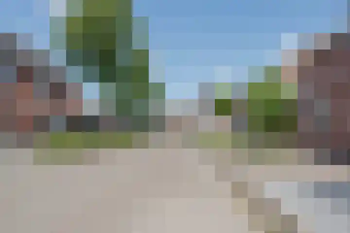 Rietbos 38 Horst thumbnail 39