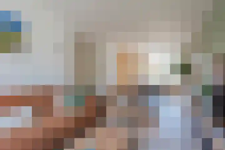 Rietbos 38 Horst thumbnail 5
