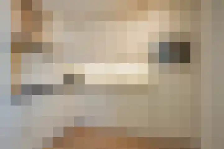 Rietbos 38 Horst thumbnail 6