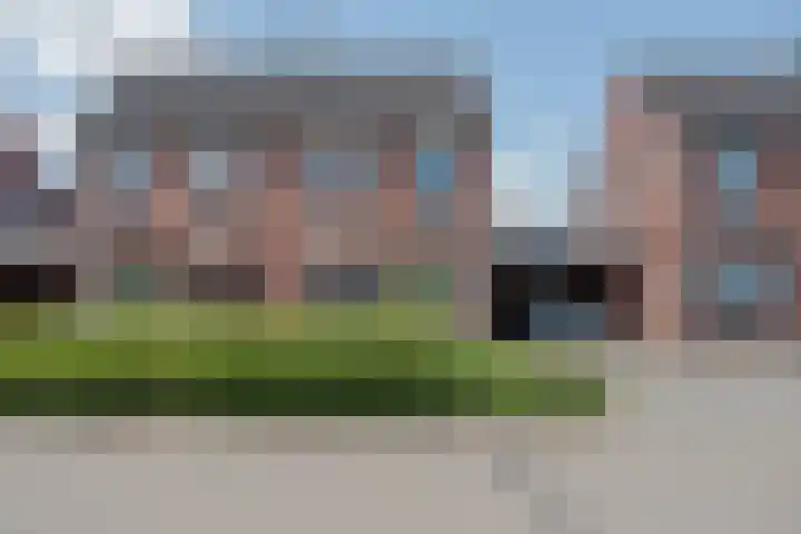 Rietbos 38 Horst thumbnail 7