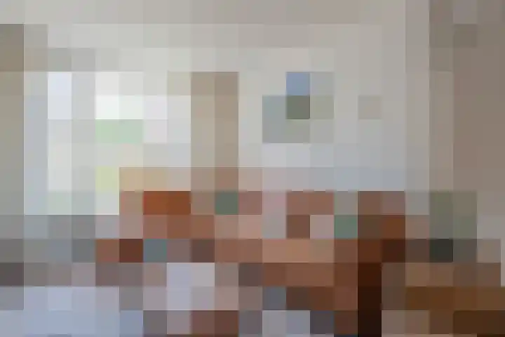 Rietbos 38 Horst thumbnail 9
