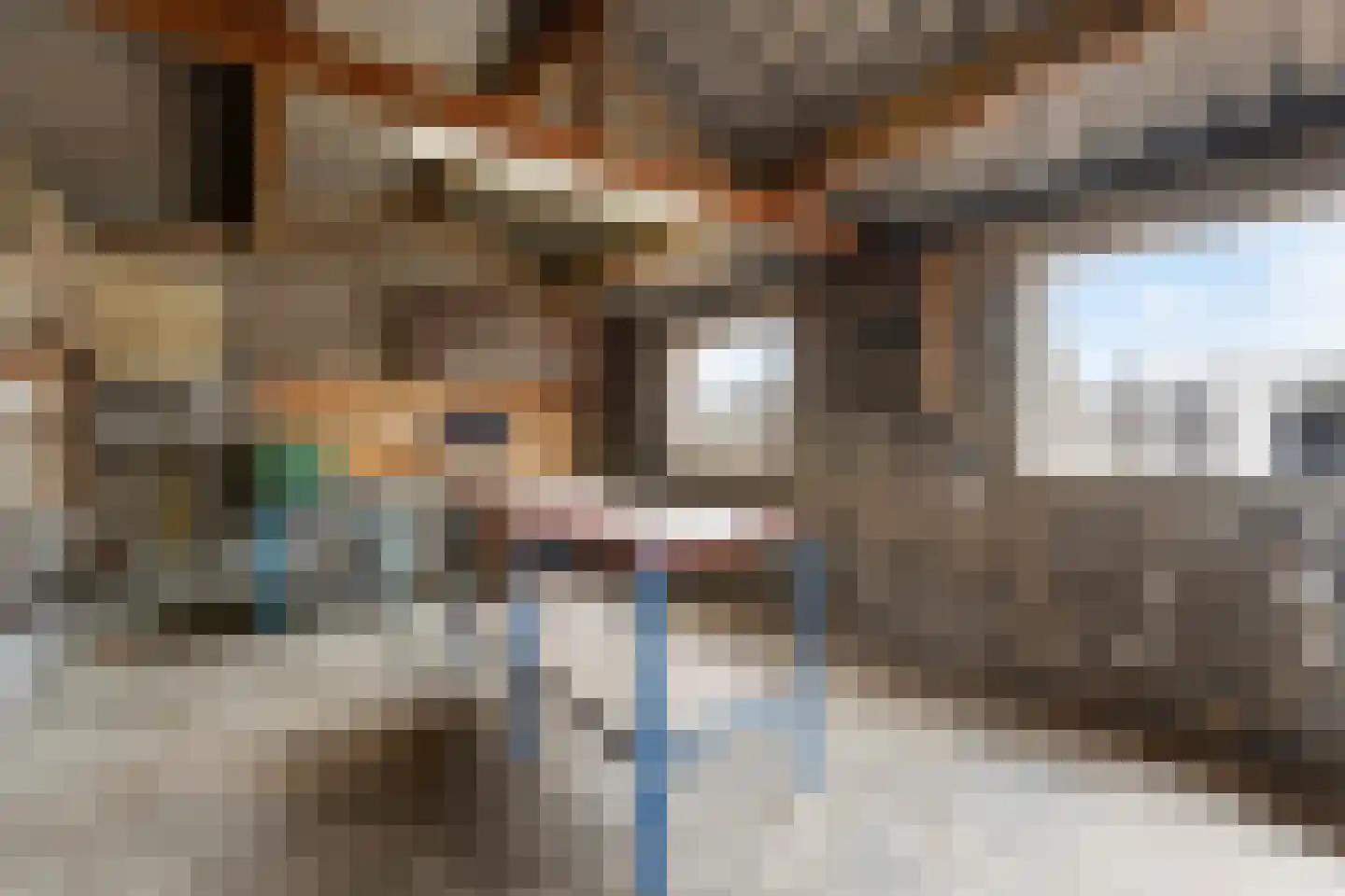 Rietbroek 8 Stramproy thumbnail 10