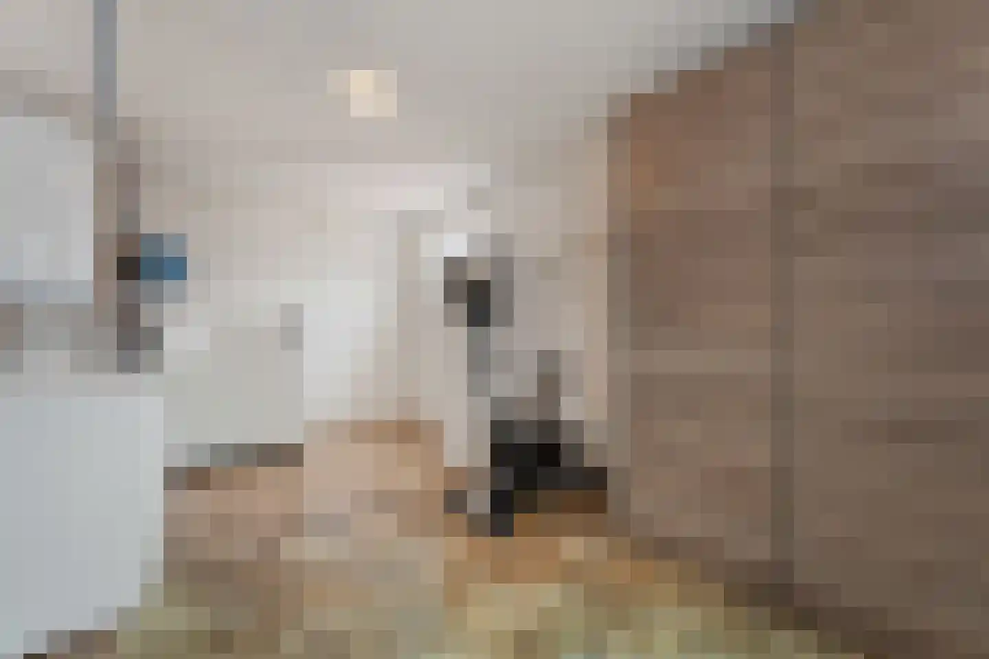Rietbroek 8 Stramproy thumbnail 12