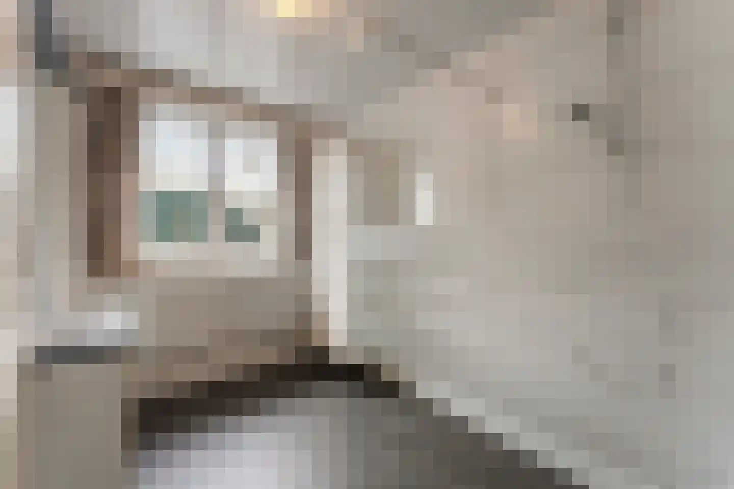 Rietbroek 8 Stramproy thumbnail 15