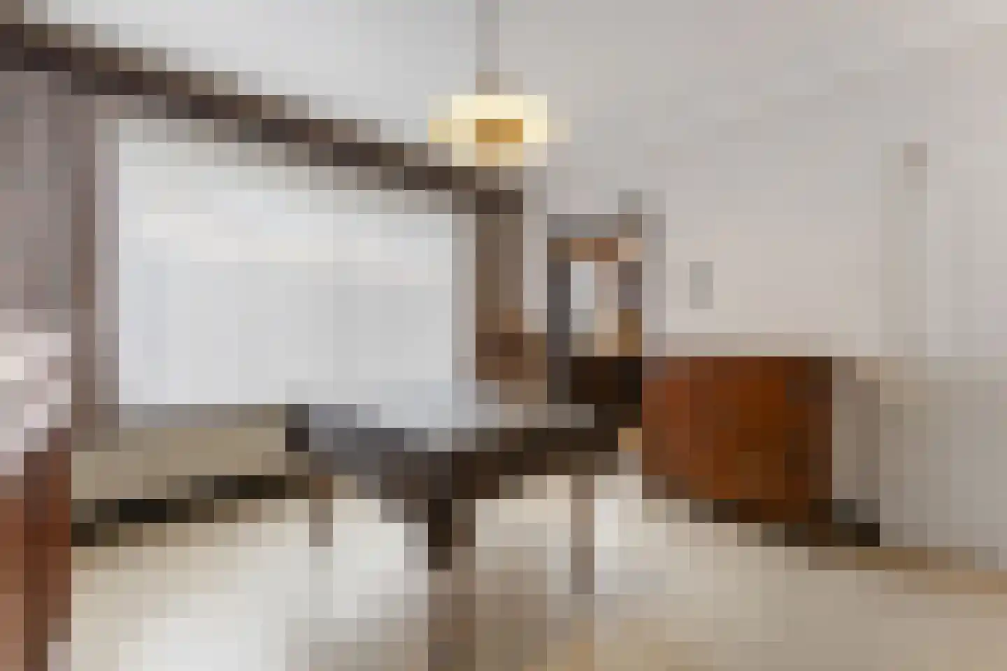 Rietbroek 8 Stramproy thumbnail 19
