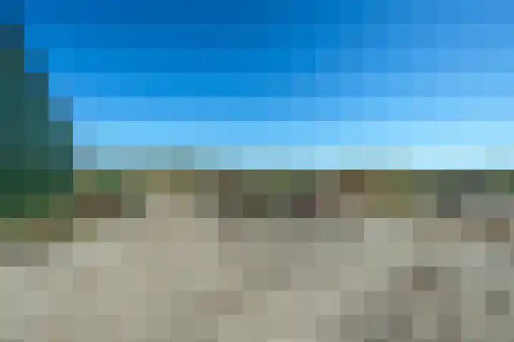 Rietbroekweg 2 Spijkenisse thumbnail 31