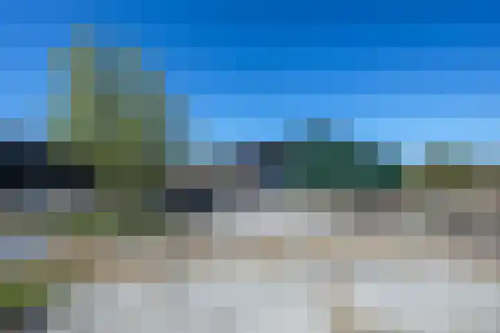 Rietbroekweg 2 Spijkenisse thumbnail 32